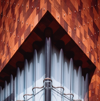 Portfolio Image