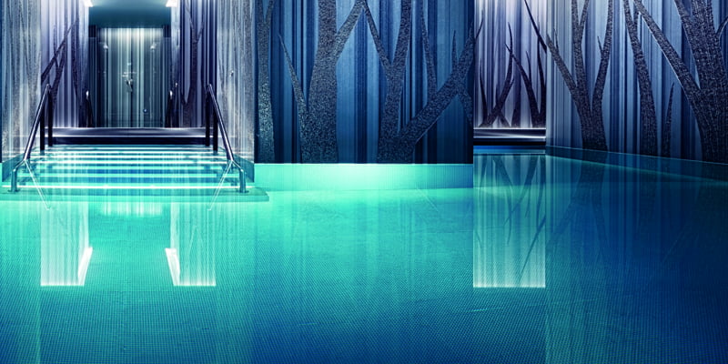 Portfolio Image